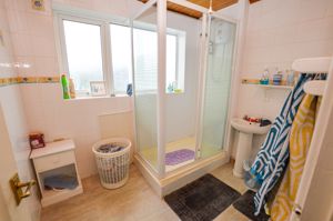 Shower Room- click for photo gallery